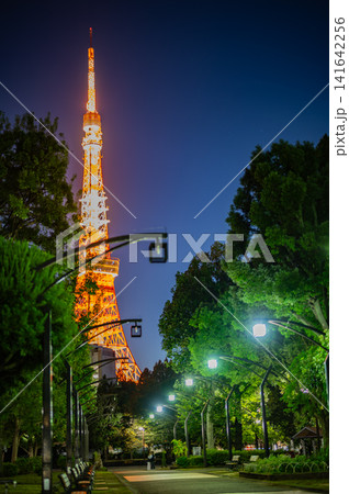 夜空に輝く東京タワーと灯りが灯る並木道(東京) 夜空に輝く東京タワーと灯りが灯る並木道(東京) 141642256