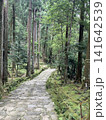 苔むした林道 141642539