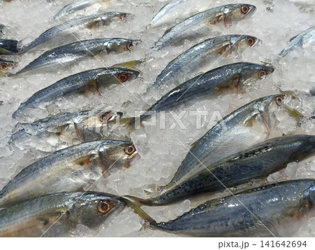 Fish, ice, seafood, market, fresh whole fish arranged on crushed ice Fish, ice, seafood, market, fresh whole fish arranged on crushed ice 141642694