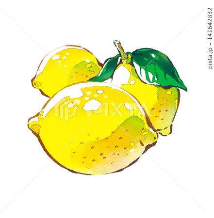 レモン／果物／水彩画風／イラスト素材／PNG素材 141642832