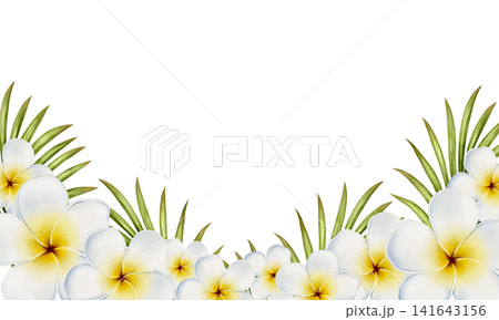 Plumeria Watercolor Frame Illustration Plumeria Watercolor Frame Illustration 141643156