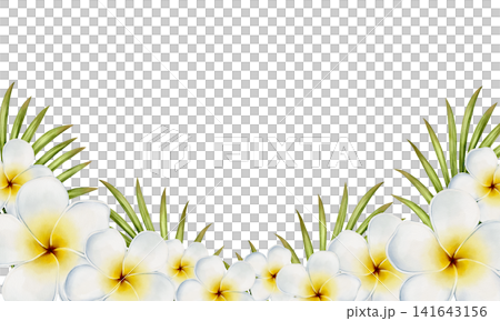 Plumeria Watercolor Frame Illustration Plumeria Watercolor Frame Illustration 141643156