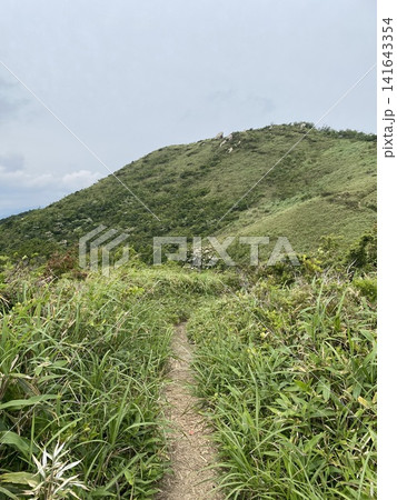 緑の稜線を望む山岳風景 緑の稜線を望む山岳風景 141643354