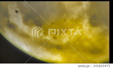 2026-07-30／22_16_06／月のクレーター 141643475