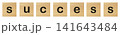 success word with wood blocks 141643484