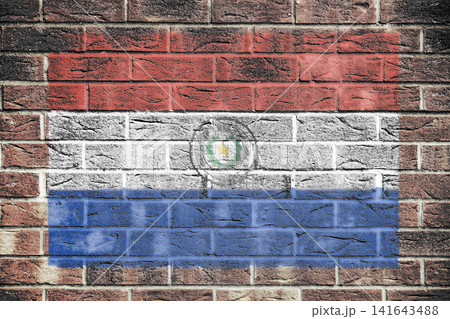 Paraguay flag on old brick wall background Paraguay flag on old brick wall background 141643488