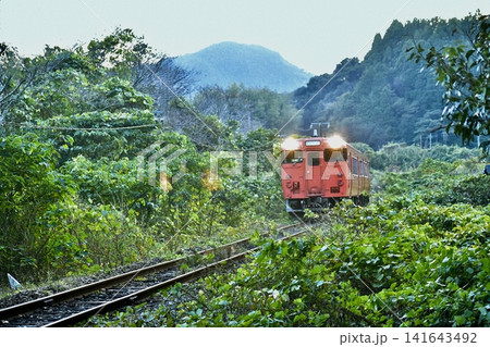 草木が生い茂る線路を走る岩徳線 草木が生い茂る線路を走る岩徳線 141643492