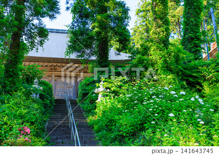 初夏の小比叡山 蓮華峰寺　蓮華峰寺金堂　佐渡島　新潟県佐渡市 141643745