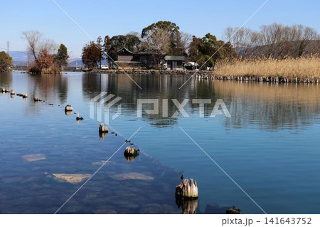 浮島周辺水辺公園の風景 浮島周辺水辺公園の風景 141643752