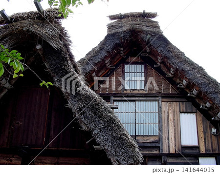茅葺屋根のある風景 茅葺屋根のある風景 141644015