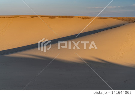 砂丘朝景色 砂丘朝景色 141644065