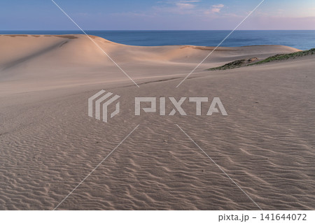 砂丘朝景色 141644072