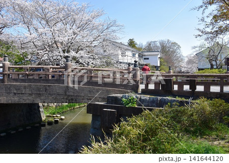滋賀県近江八幡市 八幡堀と明治橋と満開桜 滋賀県近江八幡市 八幡堀と明治橋と満開桜 141644120