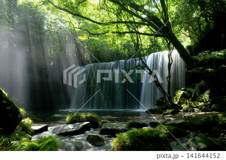 Serene Forest Waterfall with Sunbeams|森に差し込む光と静かな滝 Serene Forest Waterfall with Sunbeams|森に差し込む光と静かな滝 141644152