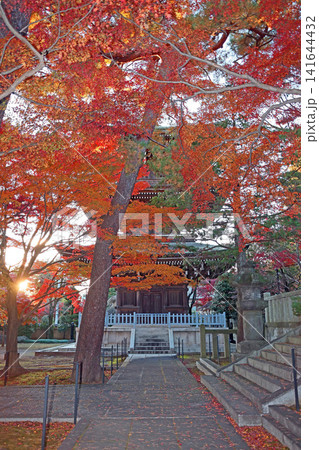 道場寺(練馬) 道場寺(練馬) 141644432
