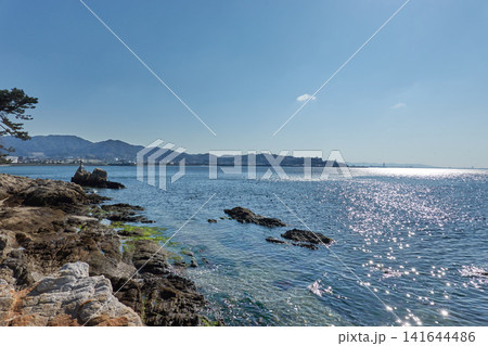 竹島　岩礁　三河湾きらめき 141644486
