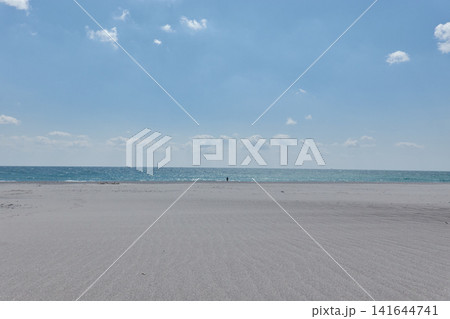 中田島砂丘 風紋 海と人影 中田島砂丘 風紋 海と人影 141644741