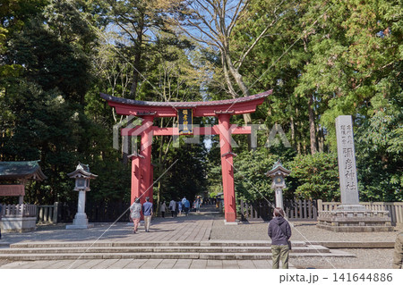 彌彦神社 大鳥居 参道 彌彦神社 大鳥居 参道 141644886