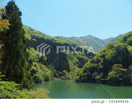 ダム湖　新緑　山あい 141644916