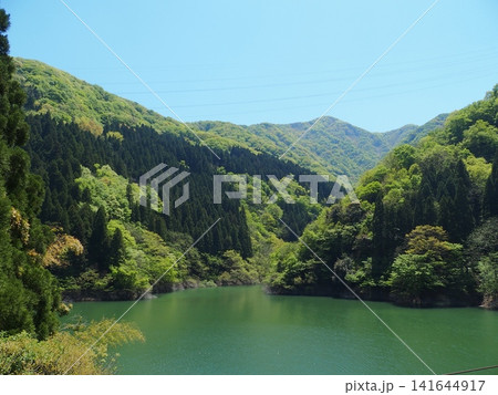ダム湖 新緑 尾根の重なり ダム湖 新緑 尾根の重なり 141644917