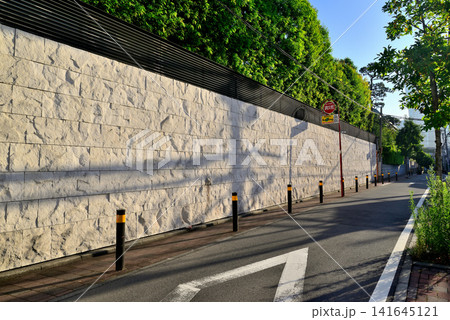 東京渋谷 松涛周辺の閑静な高級住宅街 東京渋谷 松涛周辺の閑静な高級住宅街 141645121