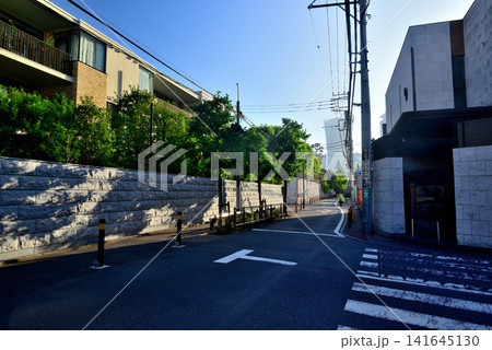 東京渋谷　松涛周辺の閑静な高級住宅街 141645130