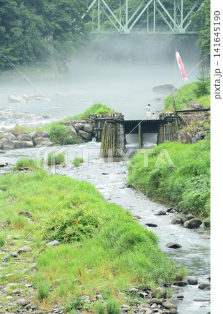 群馬県赤谷川 水煙立ち昇る急流に見入る親子と鯉のぼり 群馬県赤谷川 水煙立ち昇る急流に見入る親子と鯉のぼり 141645190