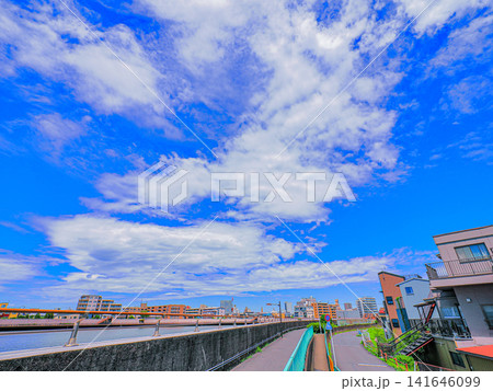 中川遊歩道から見た爽やかな夏空 141646099