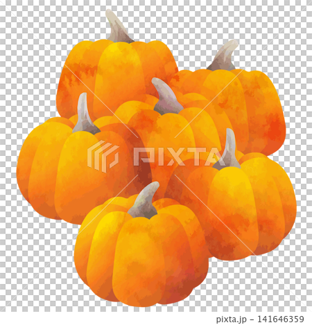 Watercolor-style vector pumpkin illustration (orange) Watercolor-style vector pumpkin illustration (orange) 141646359