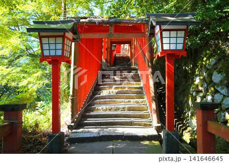 太皷谷稲成神社 朱塗りの華やかな社殿と青空 日本五大稲荷 津和野の観光名所 太皷谷稲成神社 朱塗りの華やかな社殿と青空 日本五大稲荷 津和野の観光名所 141646645