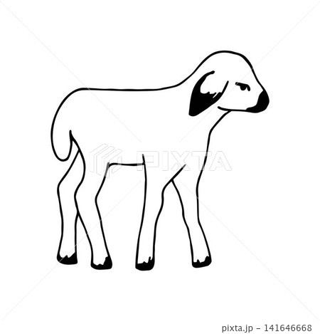 Simple hand-drawn black outline vector drawing. Little cute lamb isolated on a white background. Farm animals, livestock breeding, zoo. Simple hand-drawn black outline vector drawing. Little cute lamb isolated on a white background. Farm animals, livestock breeding, zoo. 141646668