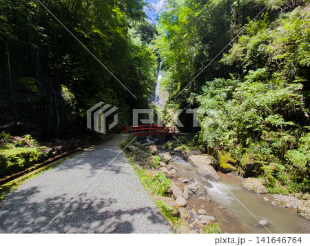 日本の滝百選 洒水の滝 日本の滝百選 洒水の滝 141646764