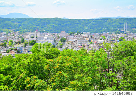 羊山公園から秩父市街の眺め 初夏のころ 羊山公園から秩父市街の眺め 初夏のころ 141646998