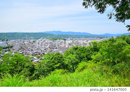 羊山公園から秩父市街の眺め 初夏のころ 羊山公園から秩父市街の眺め 初夏のころ 141647005