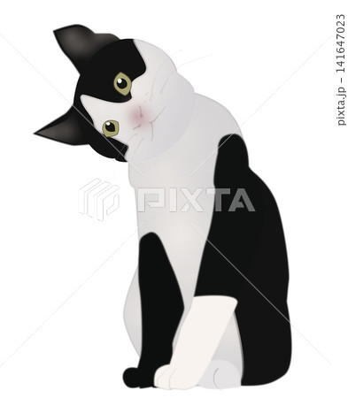 こちらを見つめる白黒のハチワレ猫のイラスト こちらを見つめる白黒のハチワレ猫のイラスト 141647023