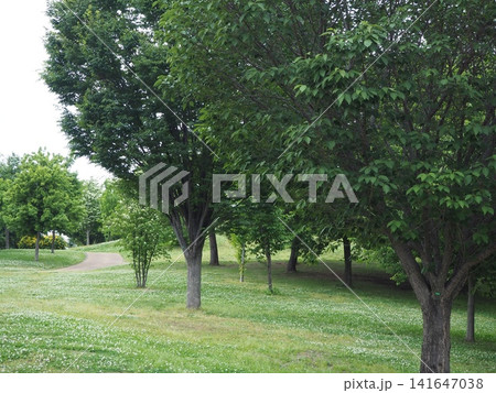 東伏見公園 東伏見公園 141647038