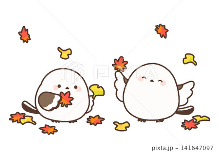舞い落ちる紅葉とイチョウを楽しむシマエナガ 舞い落ちる紅葉とイチョウを楽しむシマエナガ 141647097