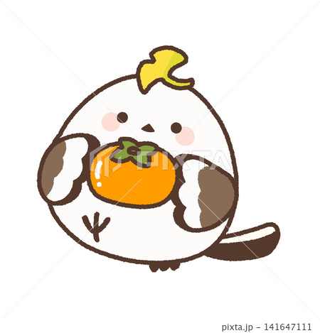 イチョウを頭にのせて柿を持つシマエナガ イチョウを頭にのせて柿を持つシマエナガ 141647111
