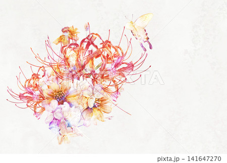 アゲハ蝶がとまる彼岸花とコスモスの秋の花束 アゲハ蝶がとまる彼岸花とコスモスの秋の花束 141647270