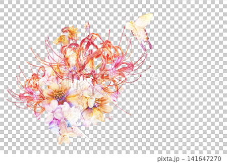 アゲハ蝶がとまる彼岸花とコスモスの秋の花束 アゲハ蝶がとまる彼岸花とコスモスの秋の花束 141647270