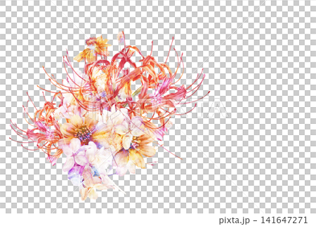 秋季蜘蛛百合和波斯菊花束 141647271