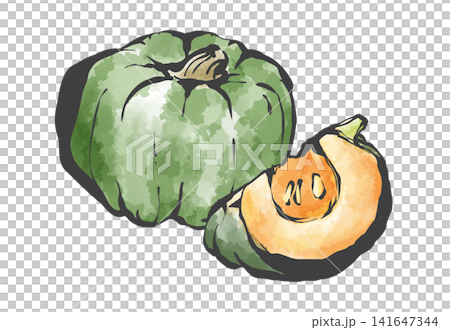 かぼちゃの手描き筆絵風イラスト かぼちゃの手描き筆絵風イラスト 141647344