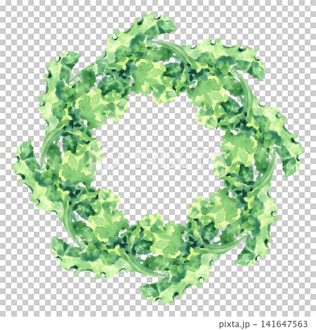 Wreath of the lettuce. Watercolor illustration. Handmade art work. For packaging design, cards, cover, prints, product labels and fabric. Wreath of the lettuce. Watercolor illustration. Handmade art work. For packaging design, cards, cover, prints, product labels and fabric. 141647563