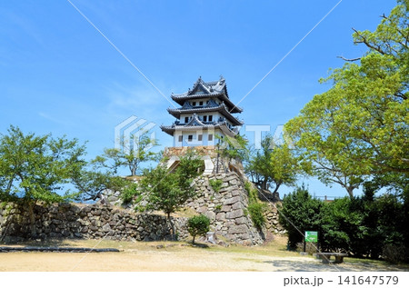 洲本城跡 天守閣 洲本城跡 天守閣 141647579