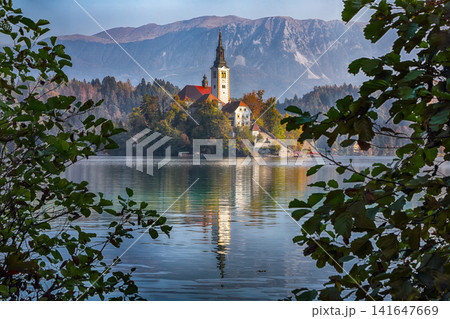 Sunny day view on popular tourist destination  Bled lake. 141647669