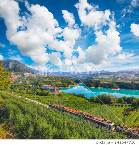 Gorgeous View of the Cles Castel, the Santa Giustina Lake and lots of apple plantations. Gorgeous View of the Cles Castel, the Santa Giustina Lake and lots of apple plantations. 141647710