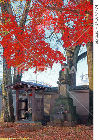 愛染院(練馬) 愛染院(練馬) 141647774