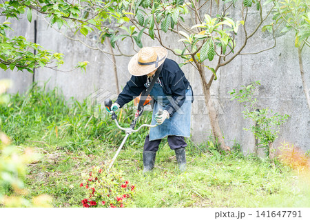 初夏に草刈り機で草刈りをする高齢男性 初夏に草刈り機で草刈りをする高齢男性 141647791