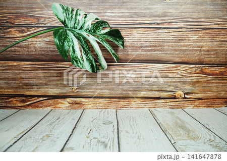 Monstera Leaf Decoration on wooden background 141647878