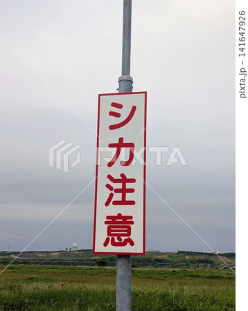 動物注意看板 シカ注意 141647926